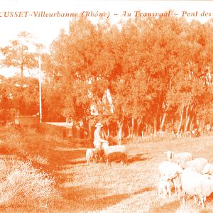 Cusset-Villeurbanne (Rhône). Guinguette "au Transvaal", Pont des planches. Carte postale d'après photographie, datée du 27 décembre 1915, AMV 2Fi21