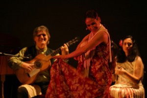 Flamenco par Gilles Michallet