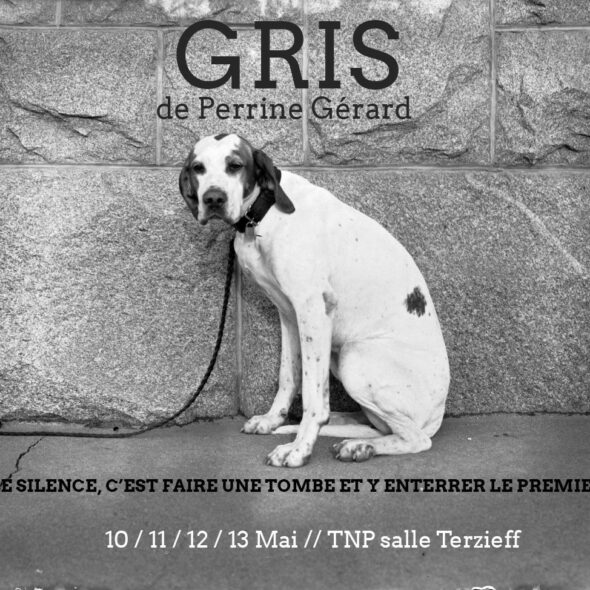 Affiche de GRIS [Perrine Grard, Compagnie En Acte(s)] au Thtre National Populaire de Villeurbanne.