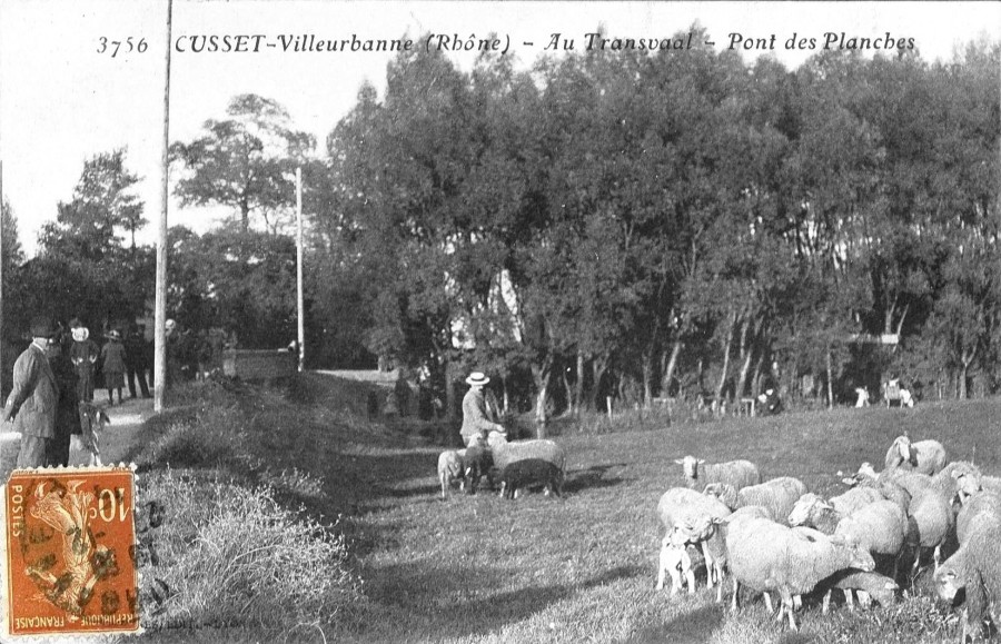 Cusset-Villeurbanne (Rhne). Guinguette "au Transvaal", Pont des planches. Carte postale d'aprs photographie, date du 27 dcembre 1915, AMV 2Fi21