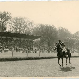 un cheval et de son jockey courant devant les tribunes pleines, mai 1954. (19Fi514)