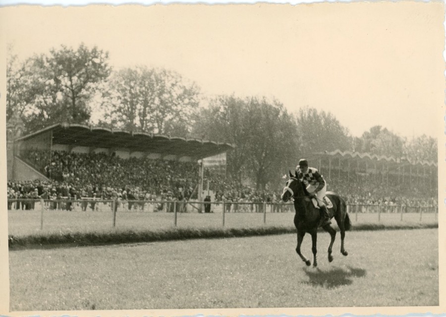 un cheval et de son jockey courant devant les tribunes pleines, mai 1954. (19Fi514)