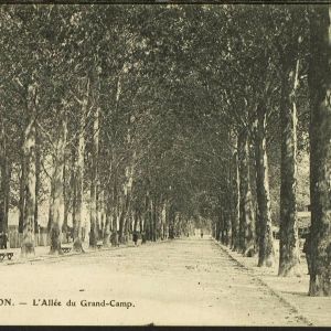 alle du Grand Camp, aujourd'hui avenue Condorcet , carte postale 1908 (2Fi91)