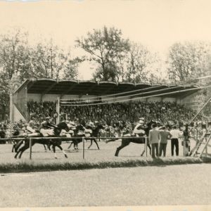 courses de mai 1954 à l'hippodrome du Grand Camp (19Fi513) 