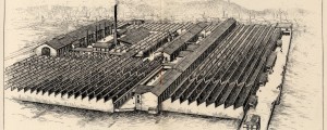 Reprsentation de l'usine Dognin tire du fascicule 