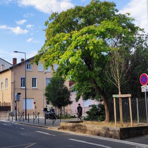 Photographie Loïc Lejay, juillet 2024