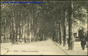 Allée du Grand Camp, actuelle avenue de Condorcet. Carte postale, datée par tampon de la poste du 9 octobre 1908, éd. H.D. [cote 2Fi91]