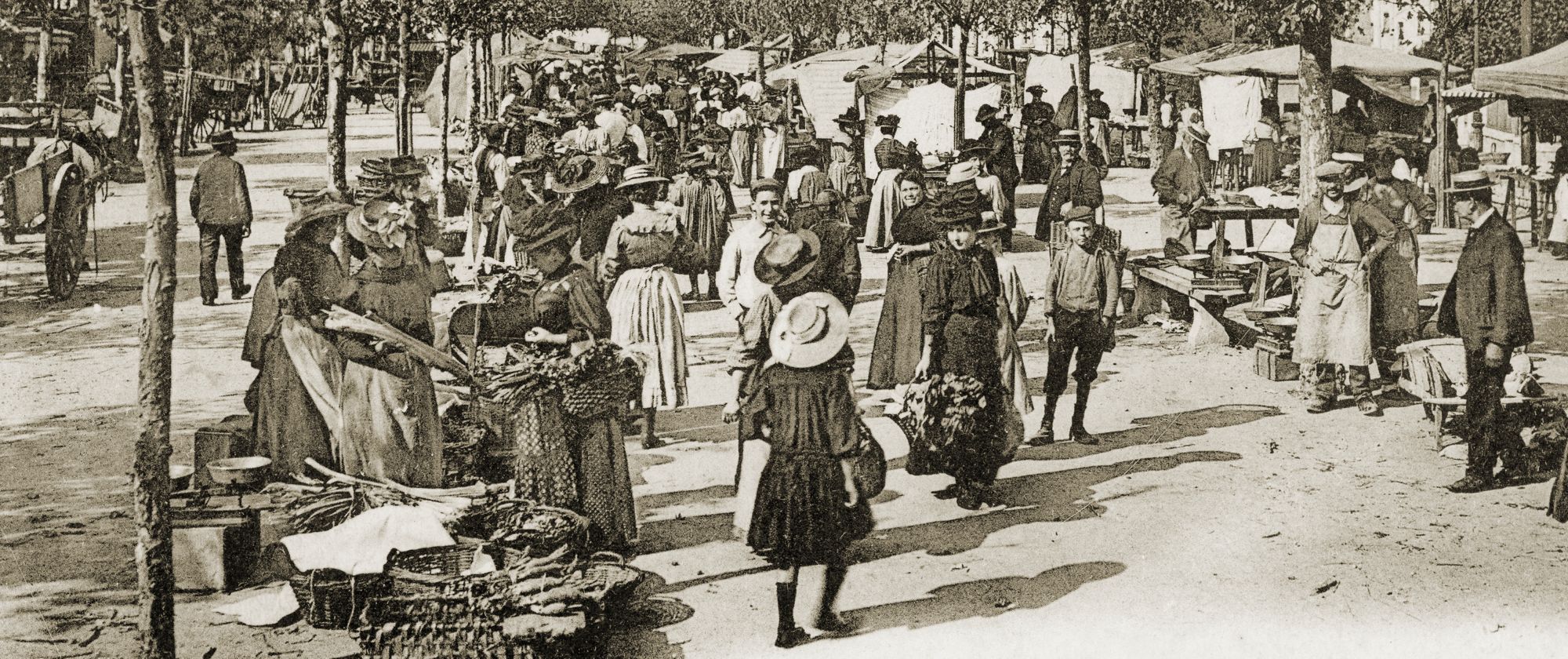 Le marché Place de la Mairie, carte postale, vers 1904-1914, AMV - Le Rize.