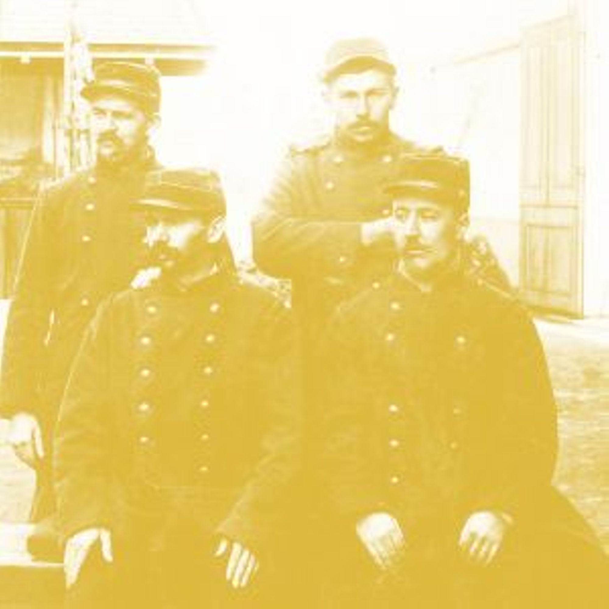 Villeurbanne pendant la grande guerre